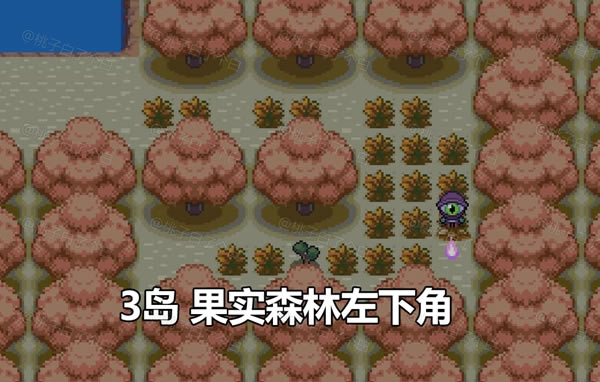 Pokemmo2023ʥڹضȫֲλ_վ