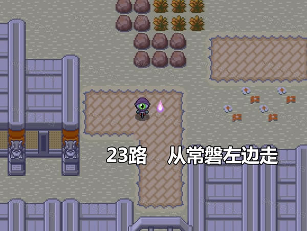 Pokemmo2023ʥڹضȫֲλ_վ