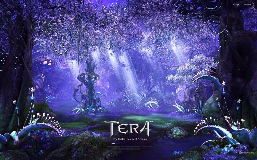 TERA_TERAϷϸڼɹ