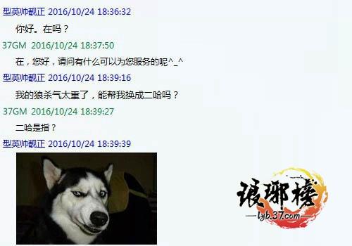 有狼不騎要騎狗?37《瑯琊榜》奇葩玩家驚呆GM_本站